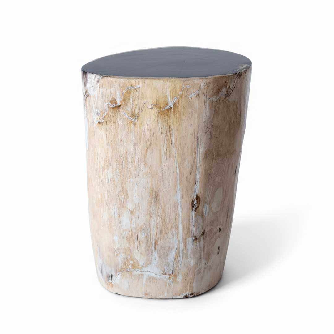 Petrified wood stool - NL 0027