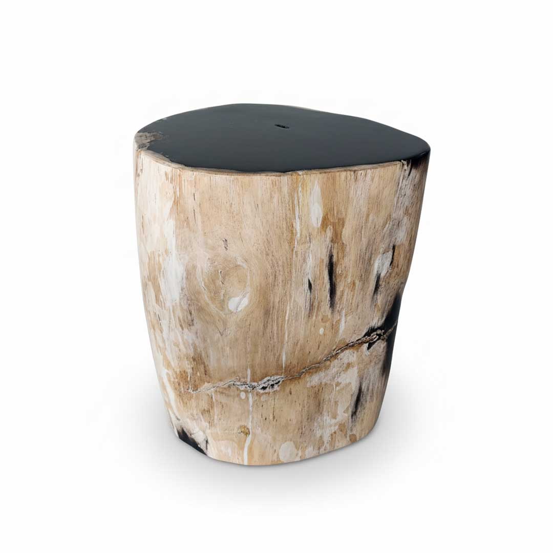 Petrified wood stool - NL 0027 - Image 2