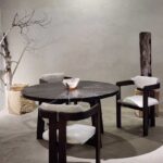 7 Best Petrified Wood Furniture for Cozy Dining Room Interior