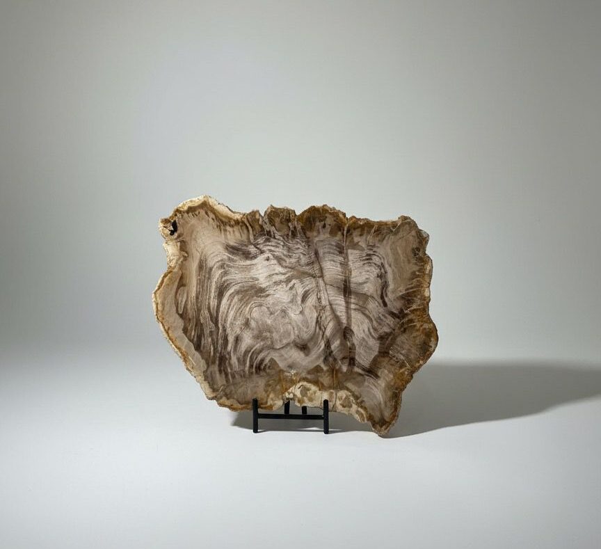 Natural Petrified Plate - PL006