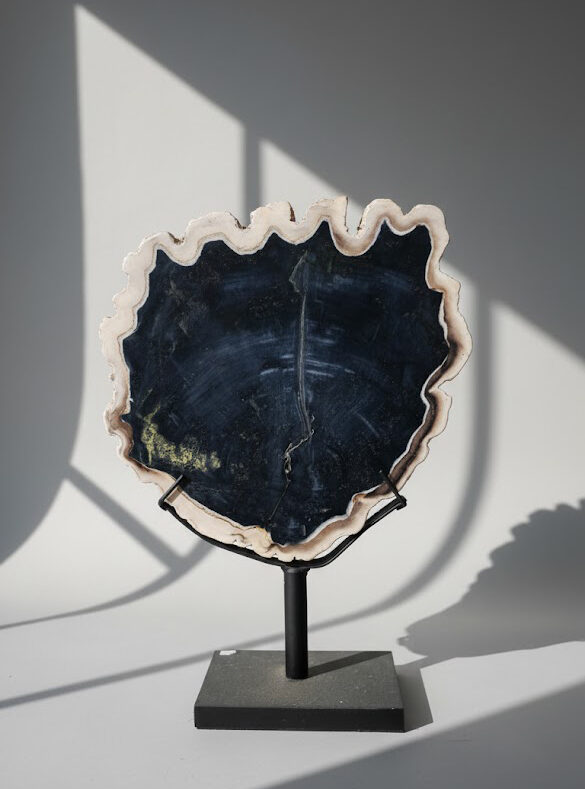 Petrified Wood Stand Decoration - DC028