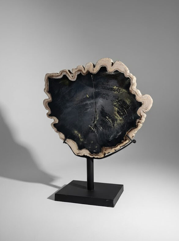 Petrified Wood Stand Decoration - DC029