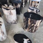 Understanding Petrified Wood Indonesia Quality Types and Uses
