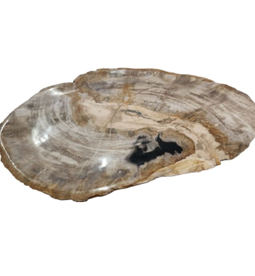 Natural Petrified Plate - PL036