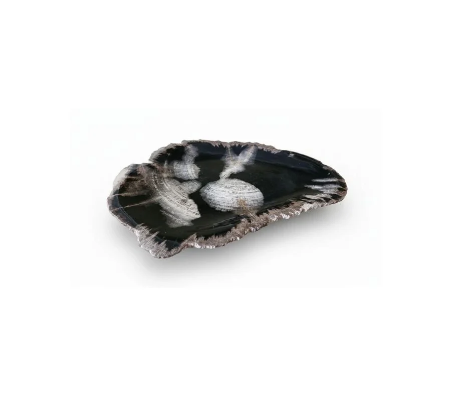 Natural Petrified Plate - PL045