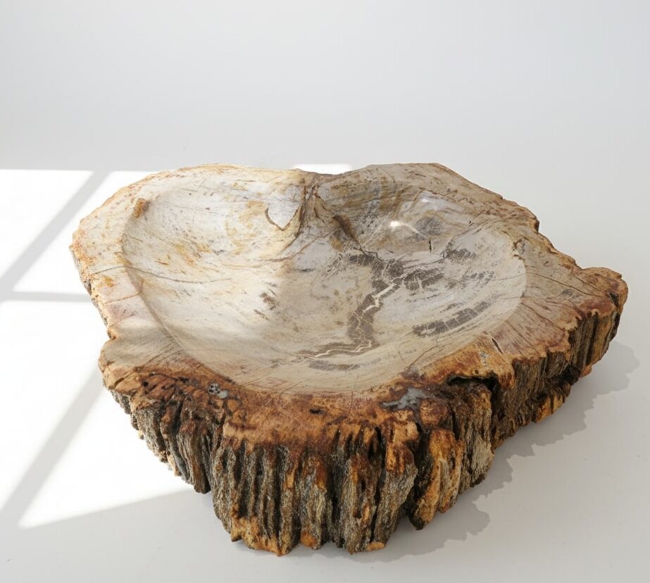 Petrified Wood Ashtray - AS012