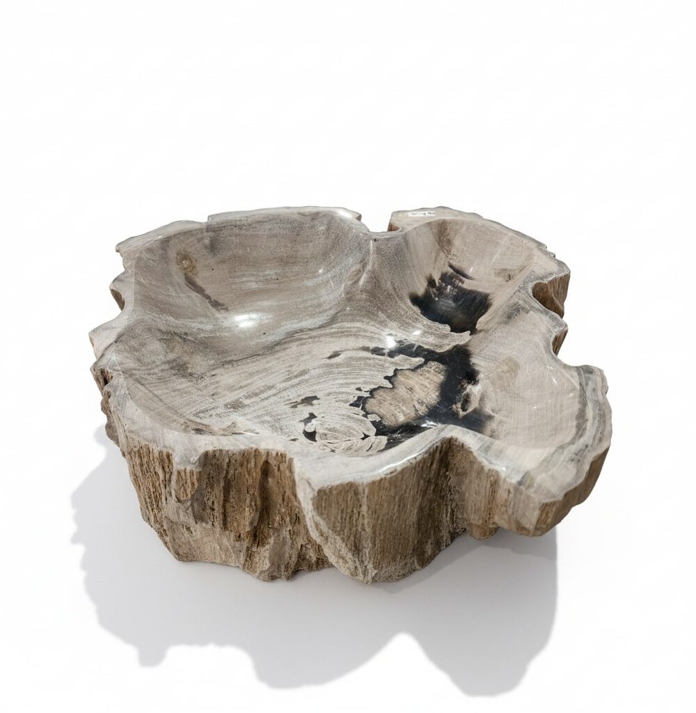 Natural Petrified Bowl - BL004