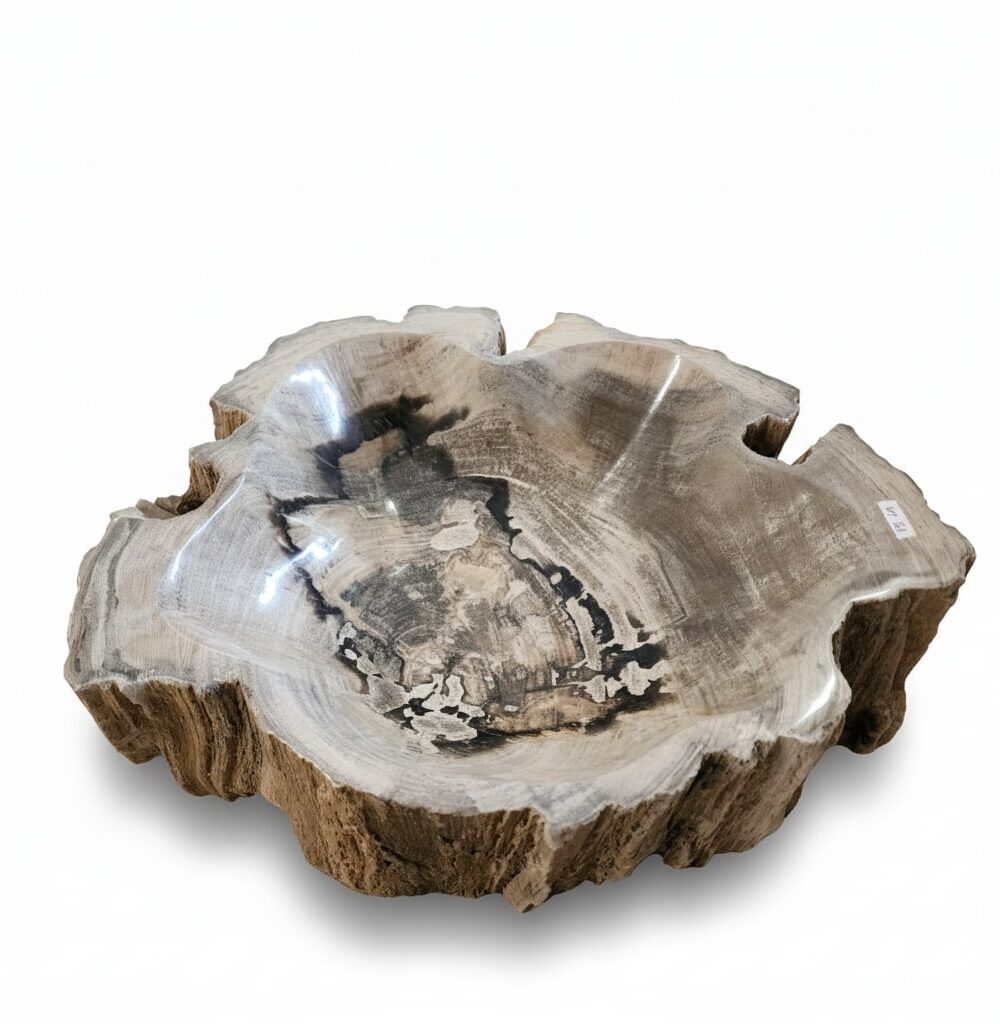 Natural Petrified Bowl - BL005