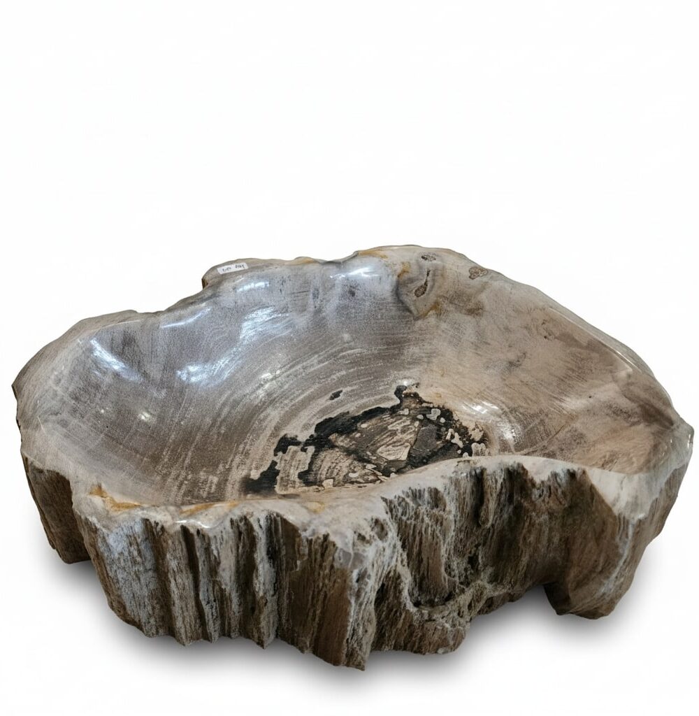 Natural Petrified Bowl - BL006