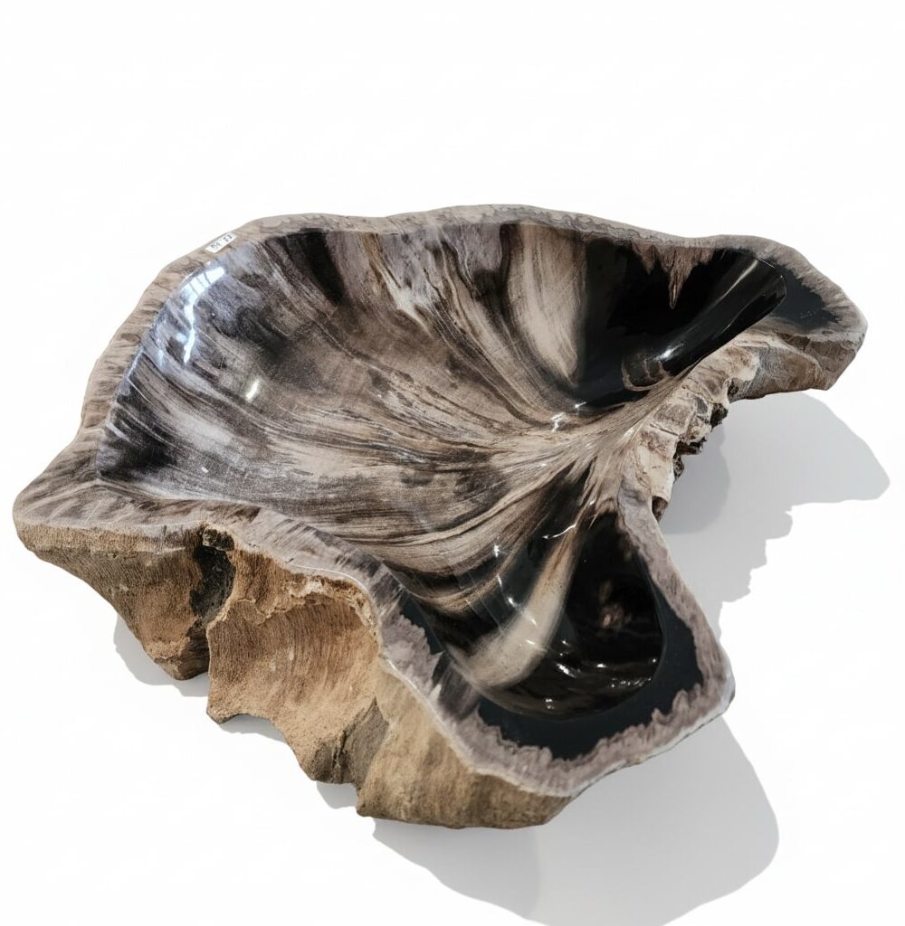 Natural Petrified Bowl - BL008