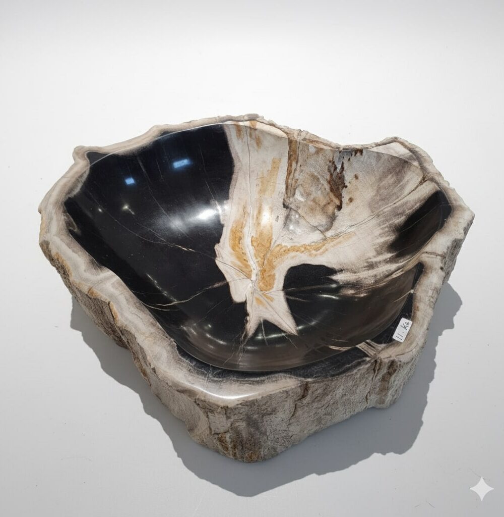 Natural Petrified Bowl - BL010