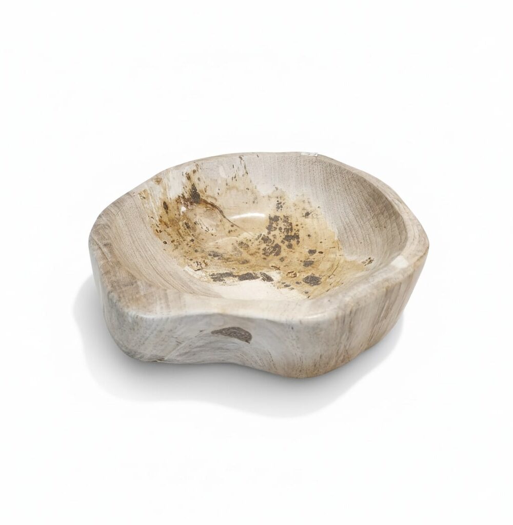 Natural Petrified Bowl - BL013
