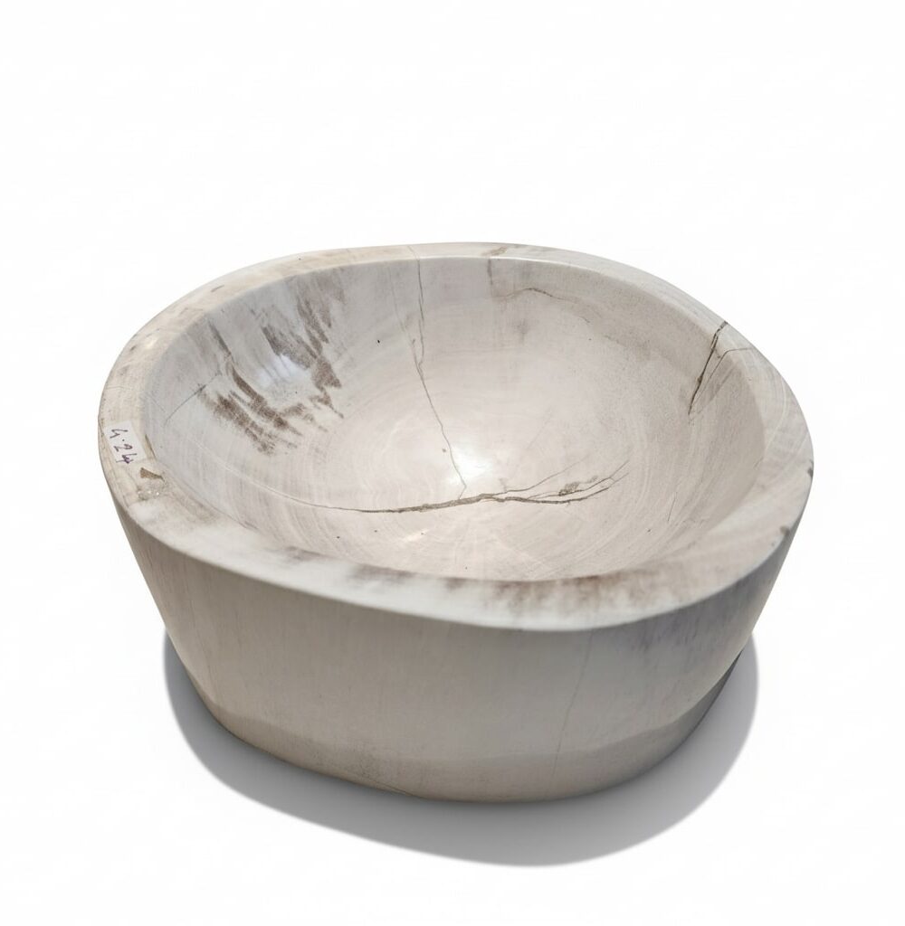 Natural Petrified Bowl - BL017
