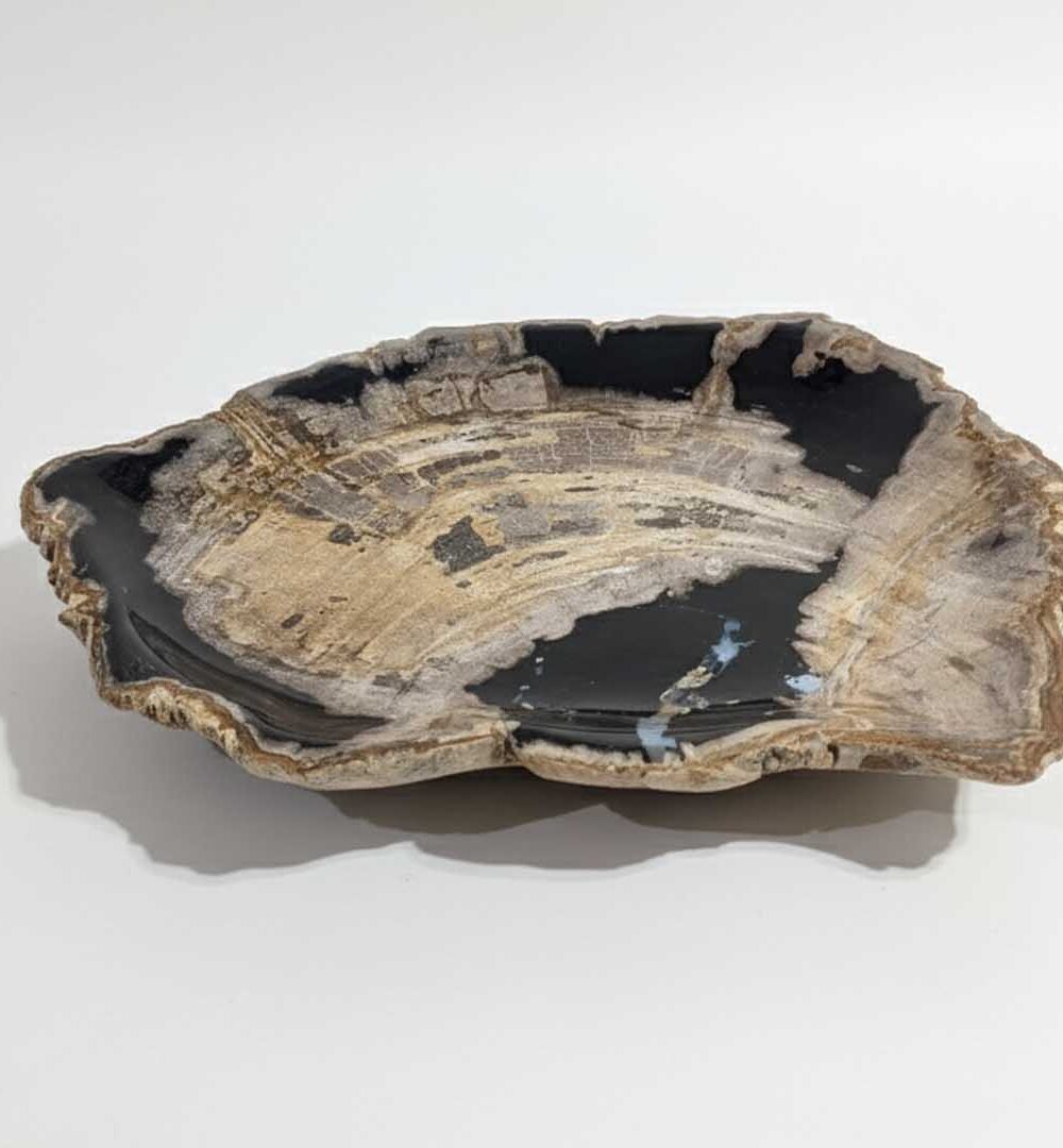 Natural Petrified Plate - PL024