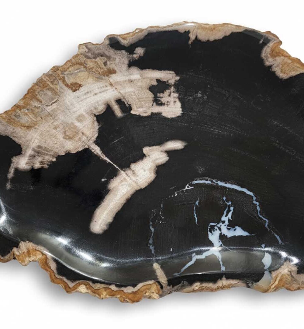 Natural Petrified Plate - PL025