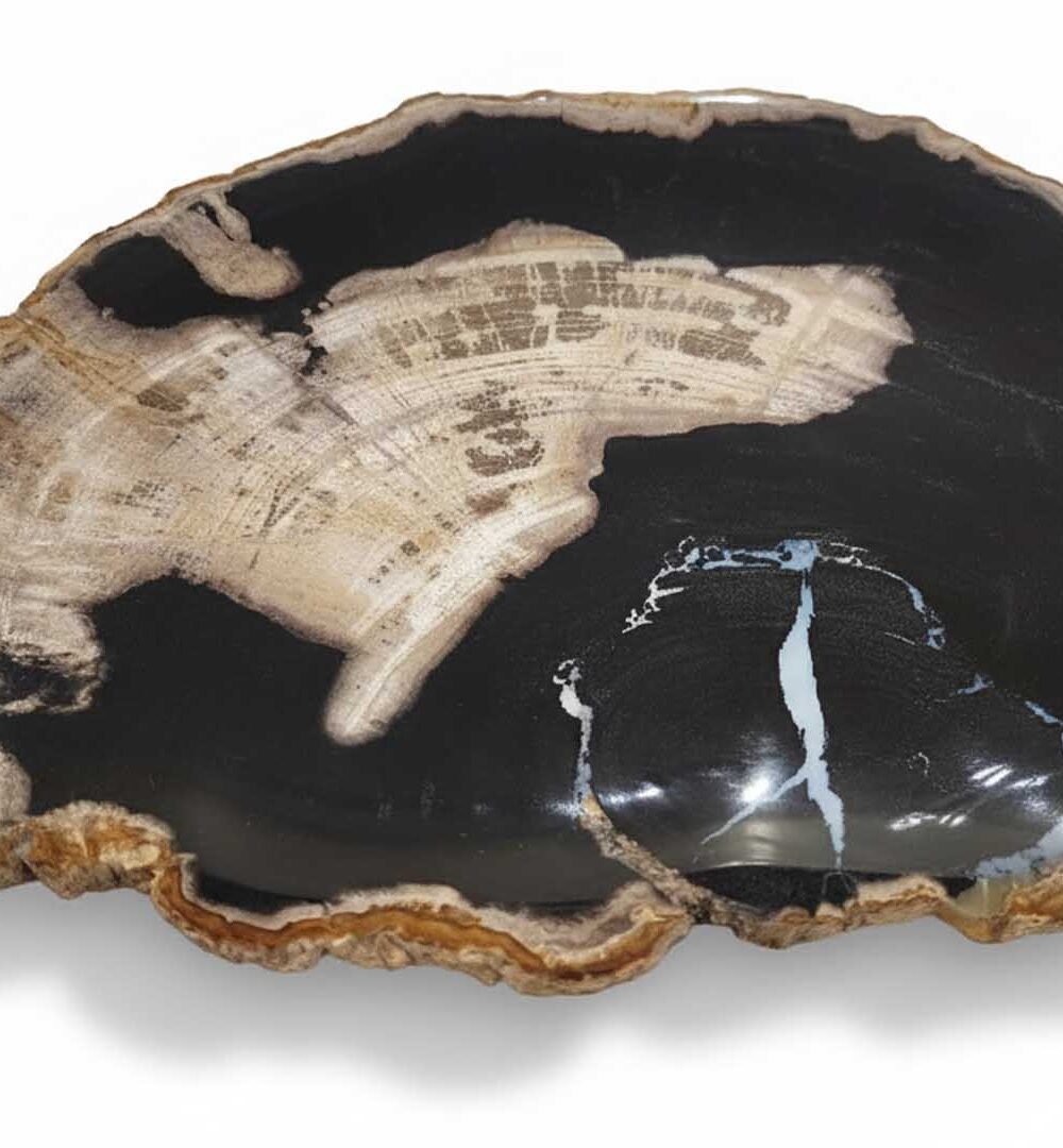 Natural Petrified Plate - PL017