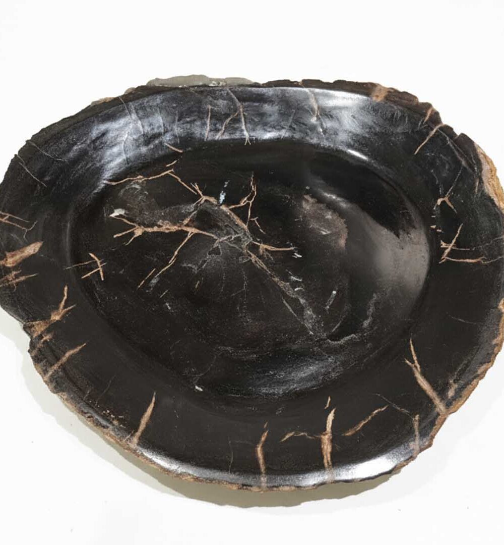 Natural Shape Petrified Wood Plates - PL028