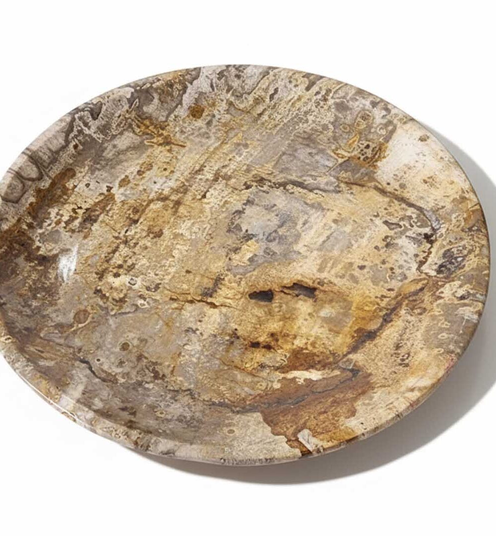 Rounded Petrified Plate - PL016