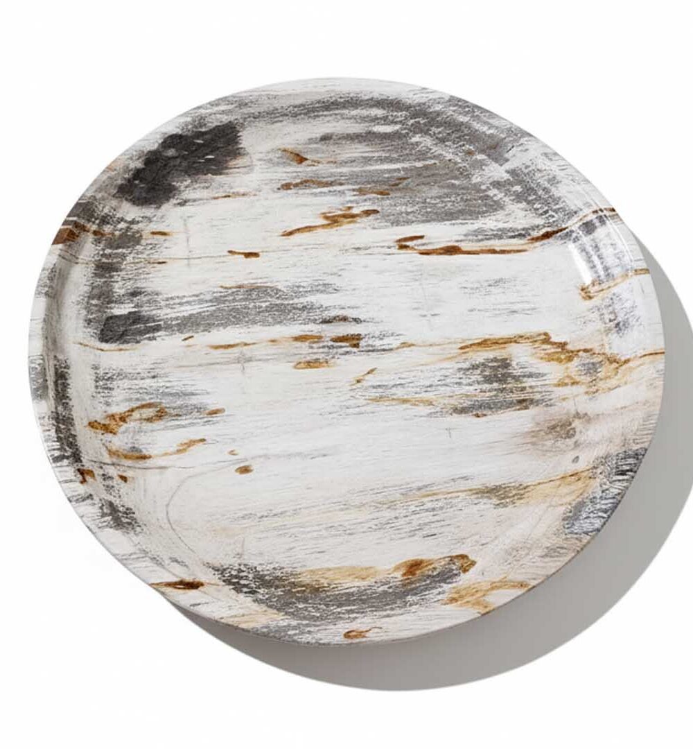 Rounded Petrified Plate - PL013