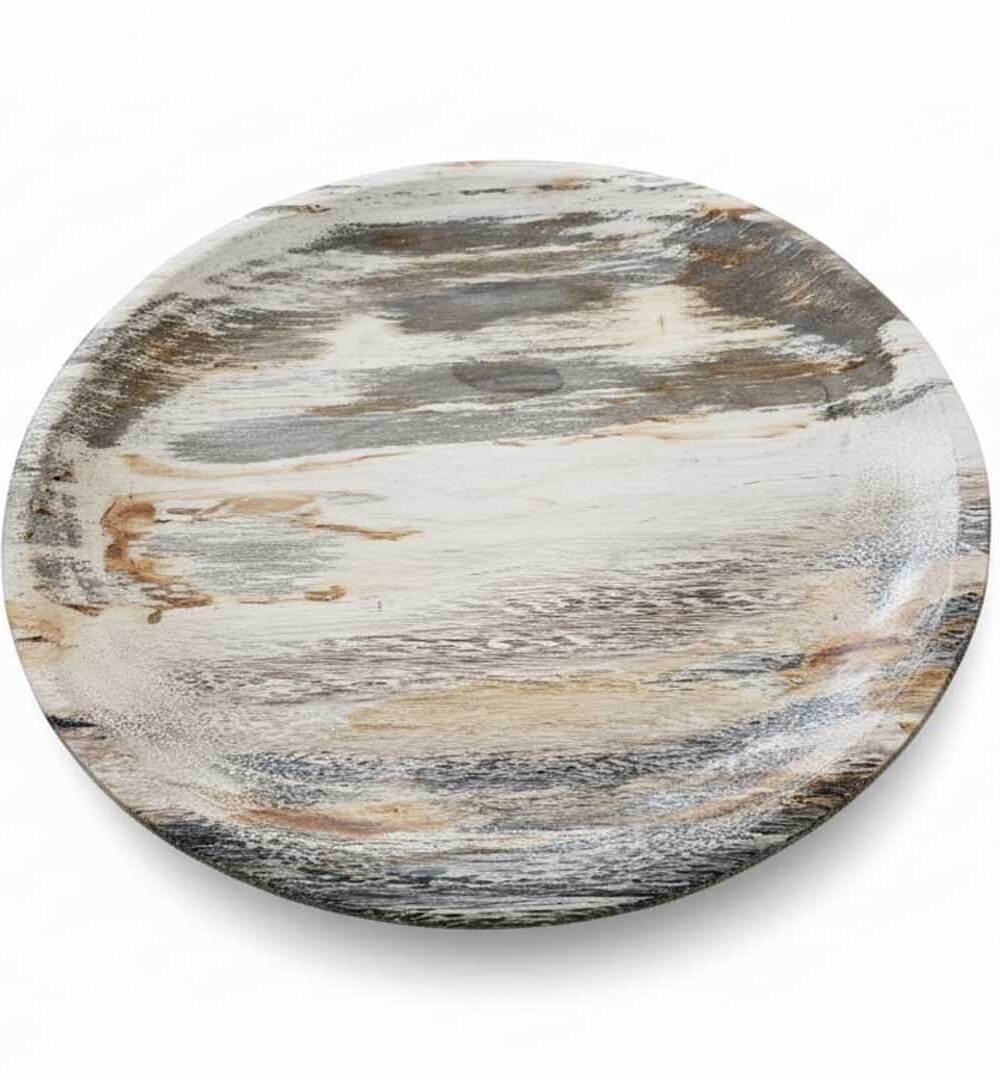 Rounded Petrified Plate - PL011