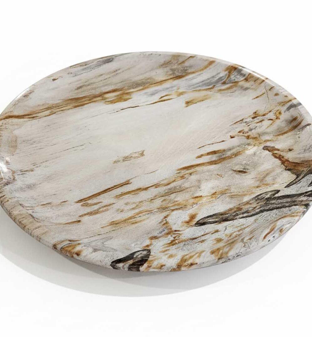Rounded Petrified Plate - PL009