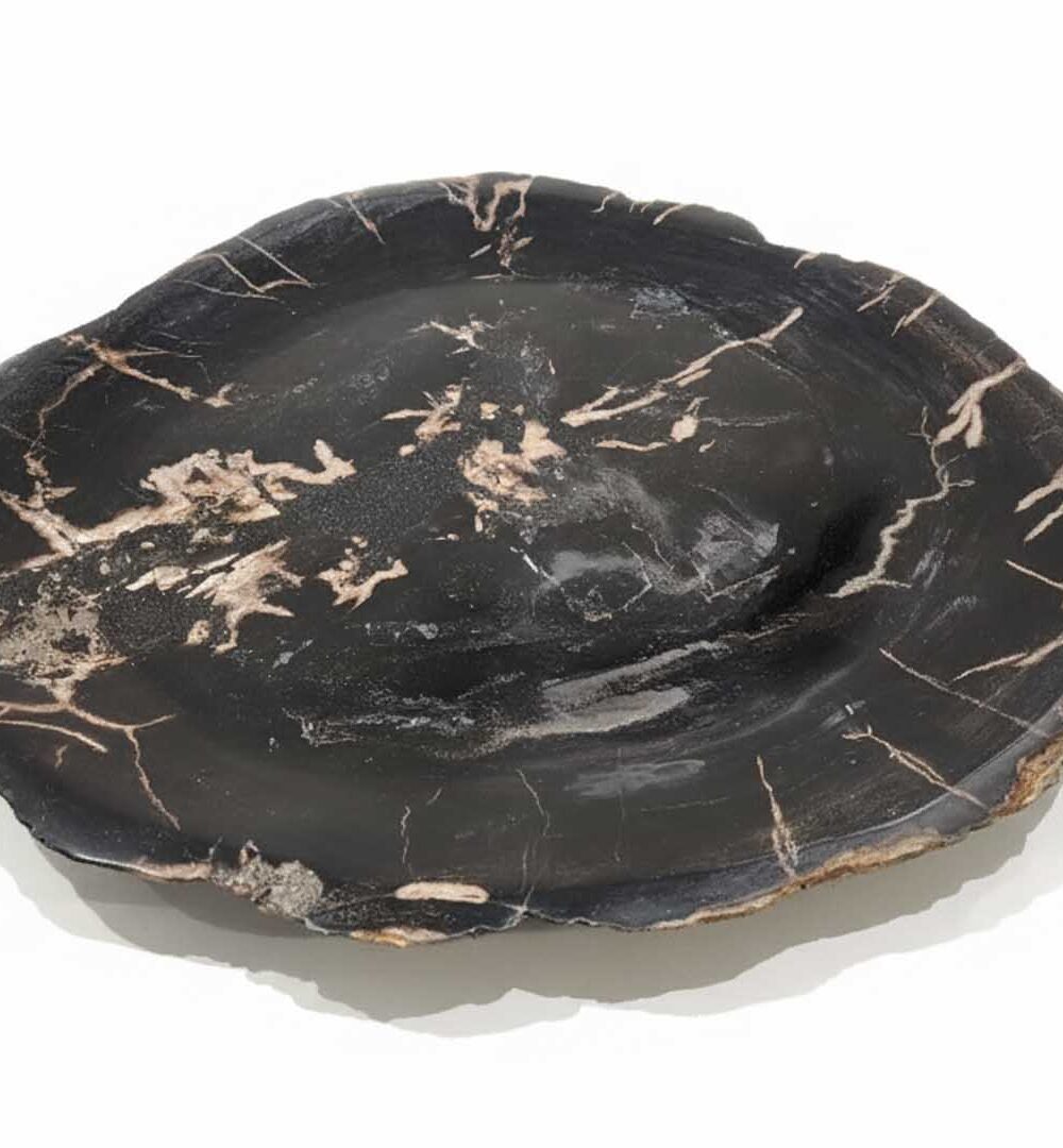 Natural Shape Petrified Wood Plate - PL029