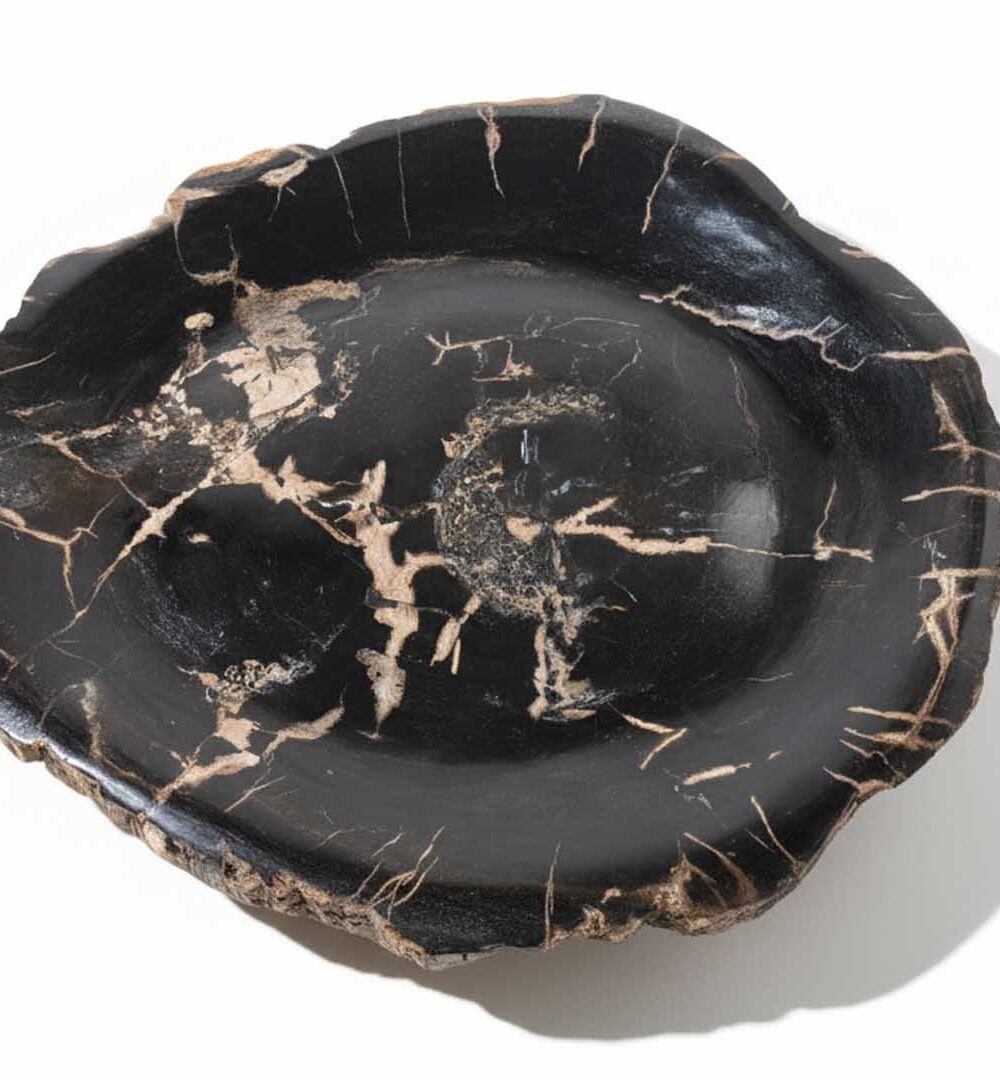 Natural Shape Petrified Wood Plate - PL027