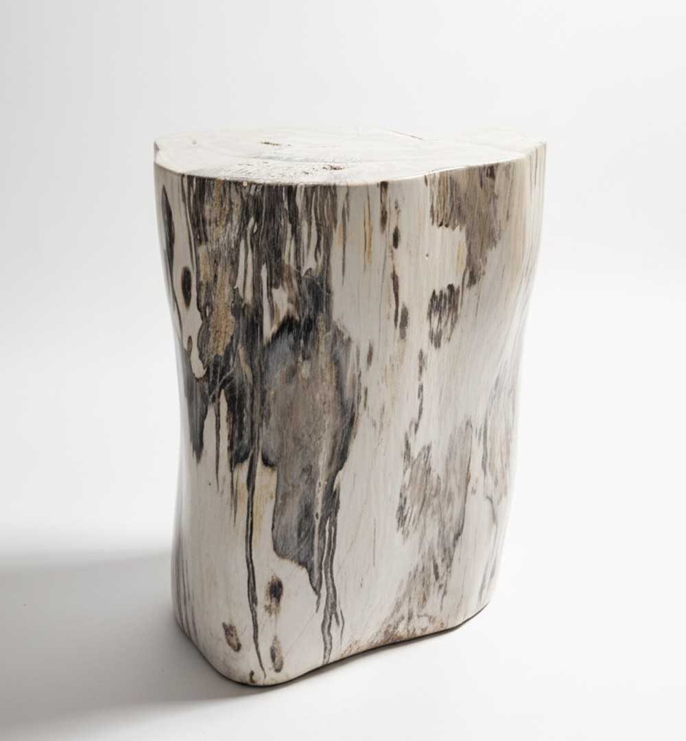 Petrified Wooden Stool - ST051
