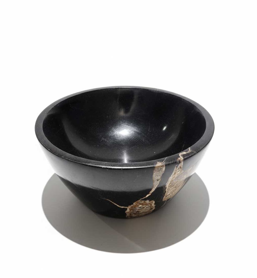 Natural Petrified Bowl - BL026