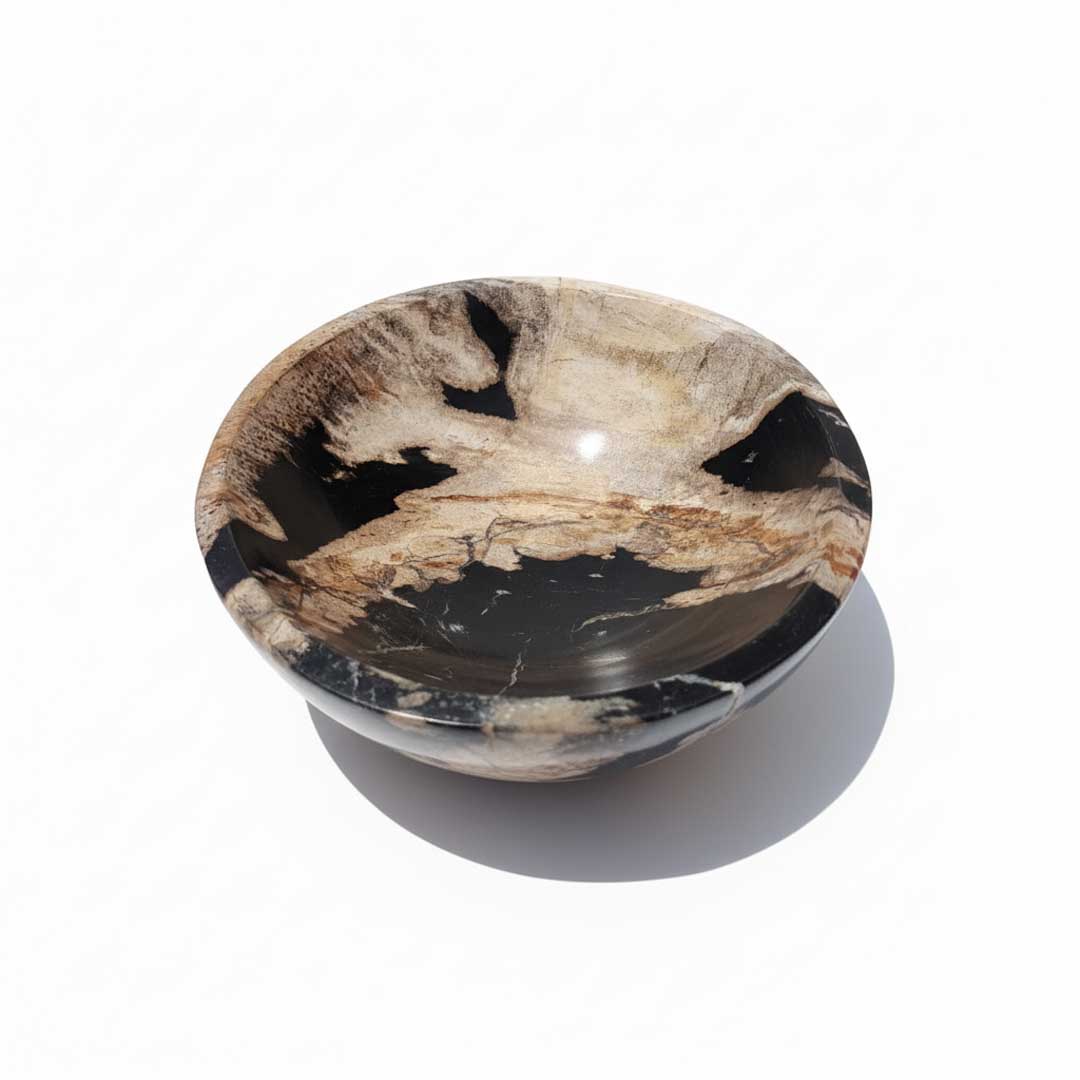 Natural Petrified Bowl - BL023 - Image 2