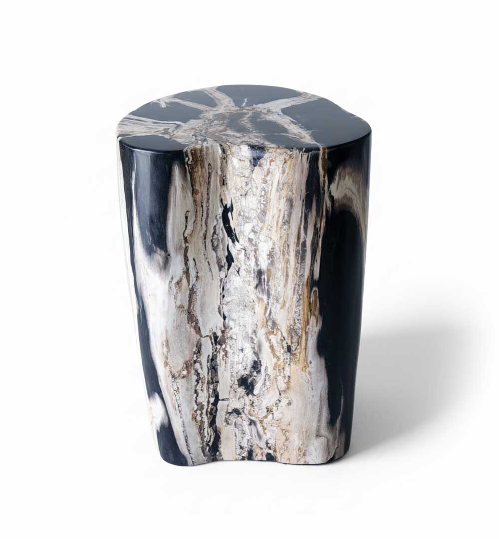Petrified Wooden Stool - ST048