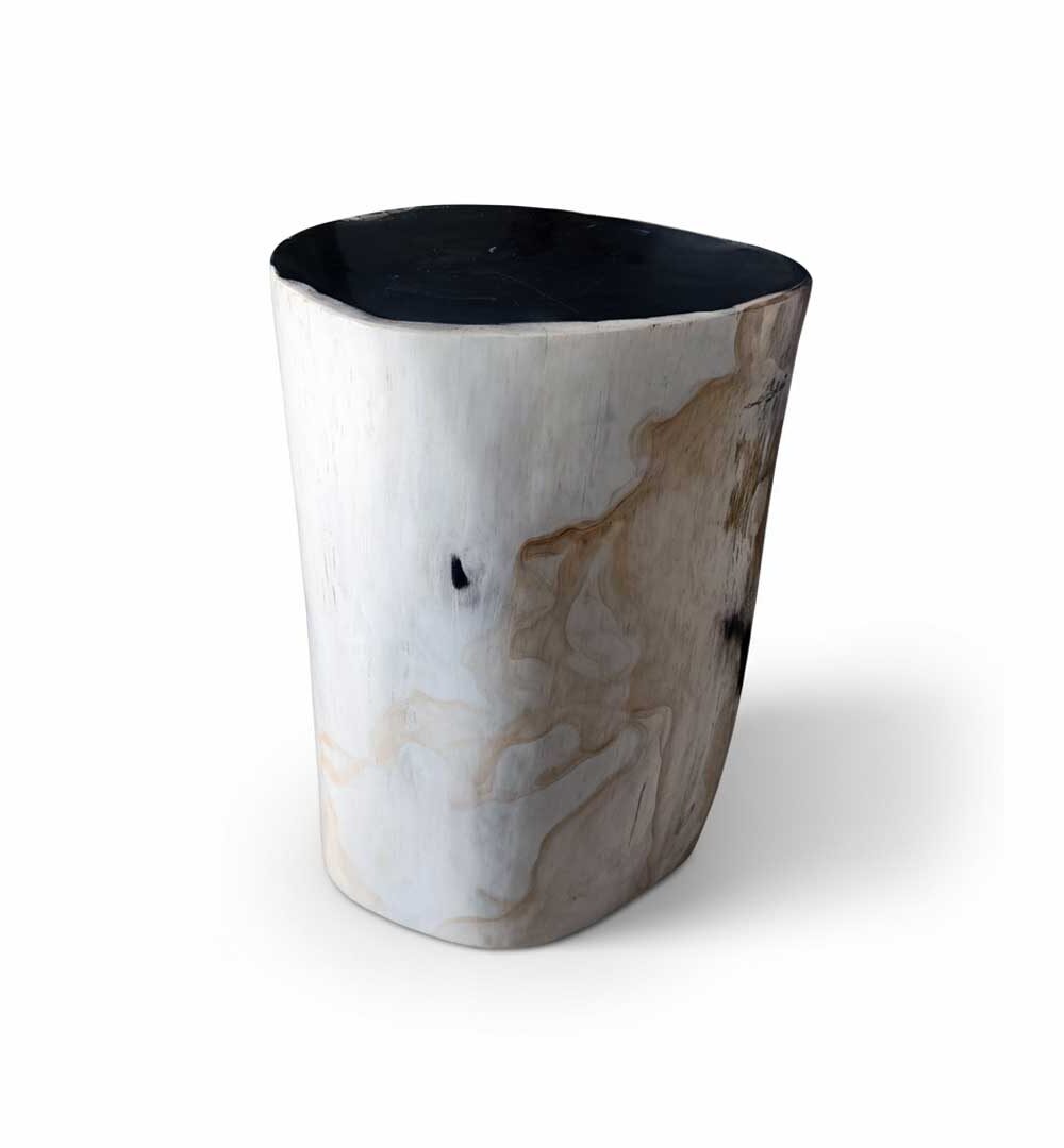 Petrified Wooden Stool - ST049