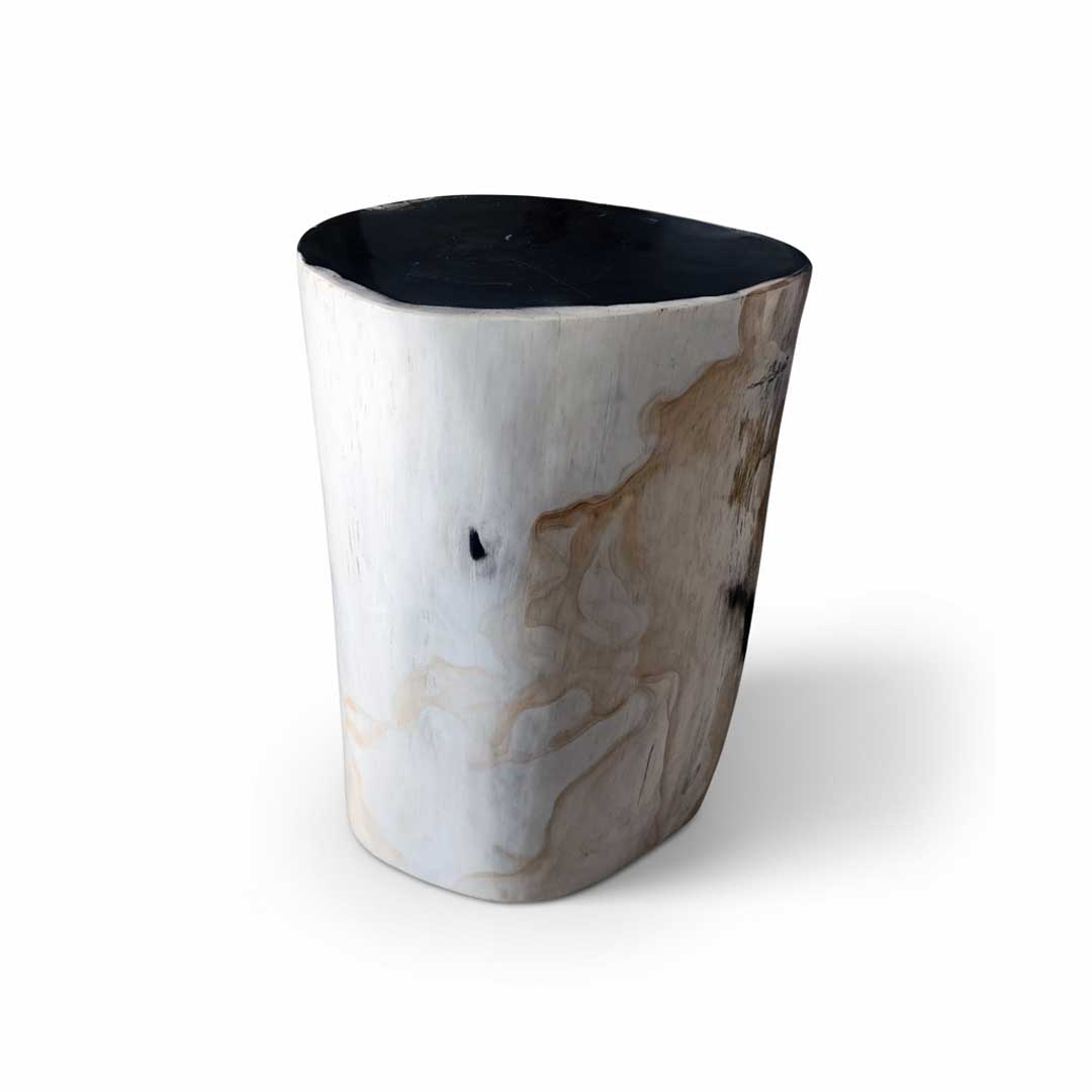 Petrified Wooden Stool - ST049