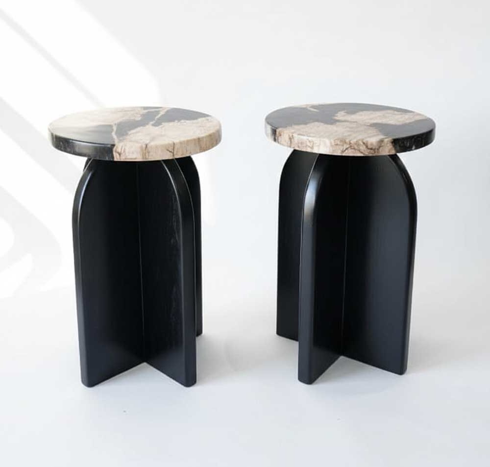 Side Table or End Table Petrified Wood and Teak Wood Base