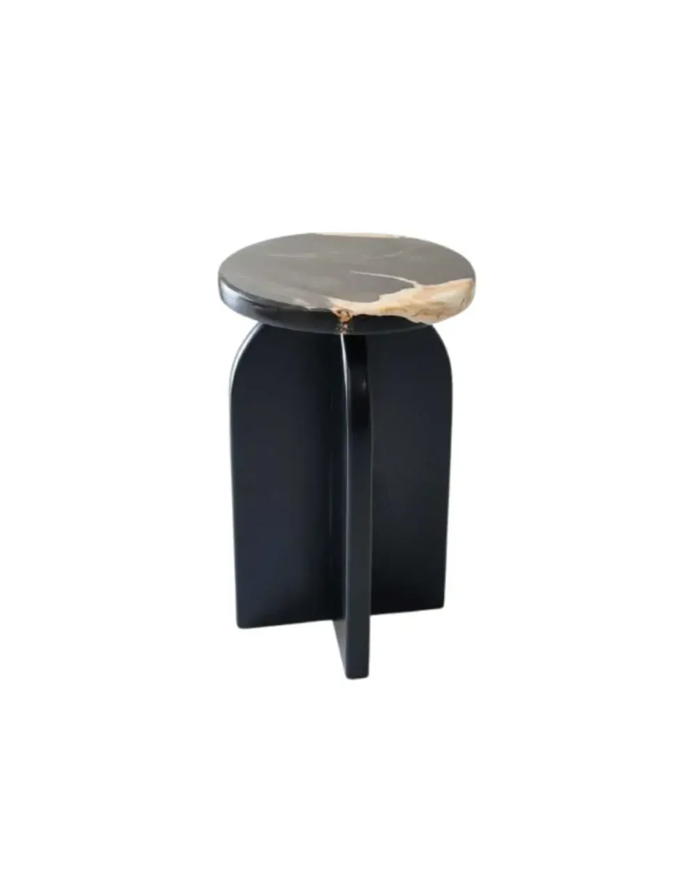 Petrified Wood End Table - TB063