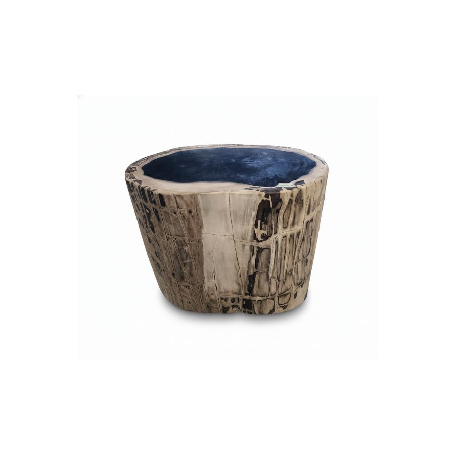 Petrified Wooden Stool -ST061