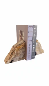 petrified wood bookend