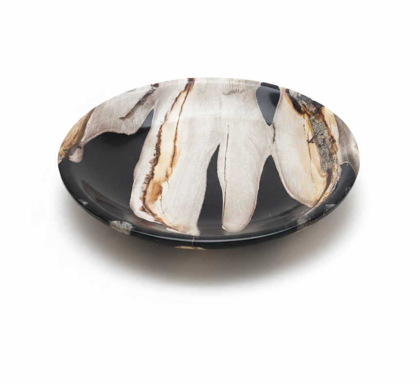 Rounded Petrified Plate – PL089