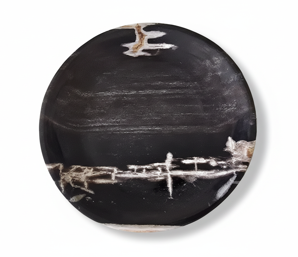 Rounded Petrified Plate – PL090