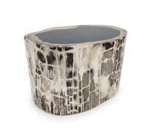 petrified wood stool