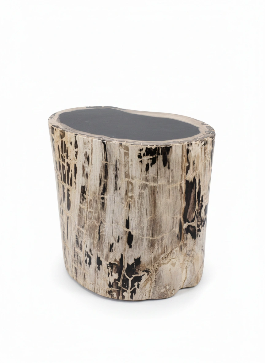 Petrified Wooden Stool -ST061 - Image 2