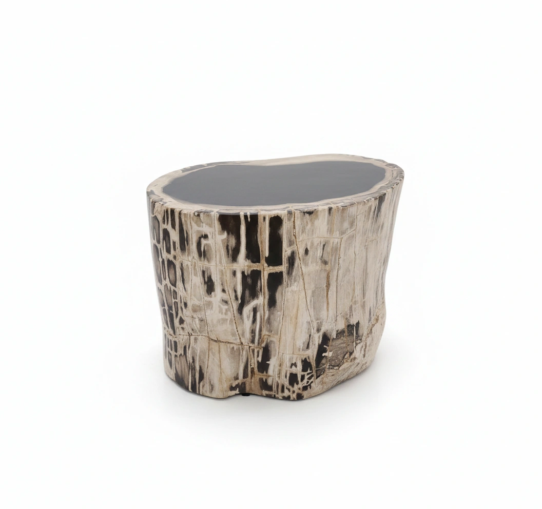 Petrified Wooden Stool -ST061 - Image 3