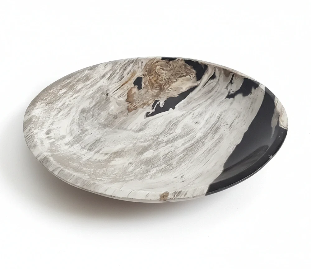 Rounded Petrified Plate – PL094