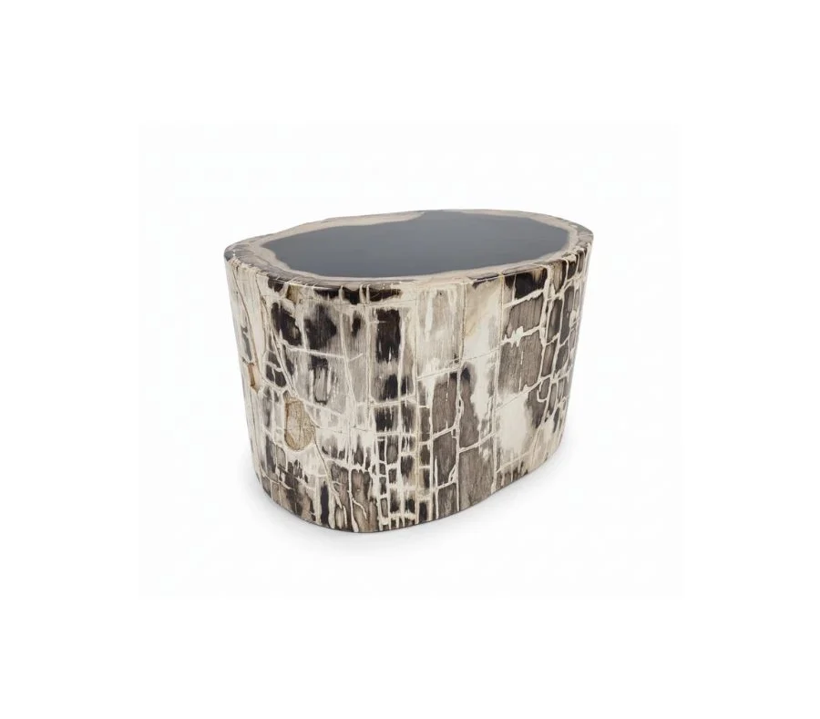 Petrified Wooden Stool -ST060