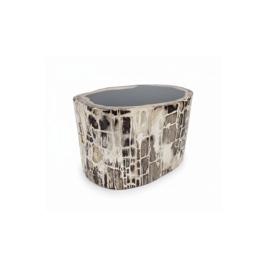 Petrified Wooden Stool -ST060
