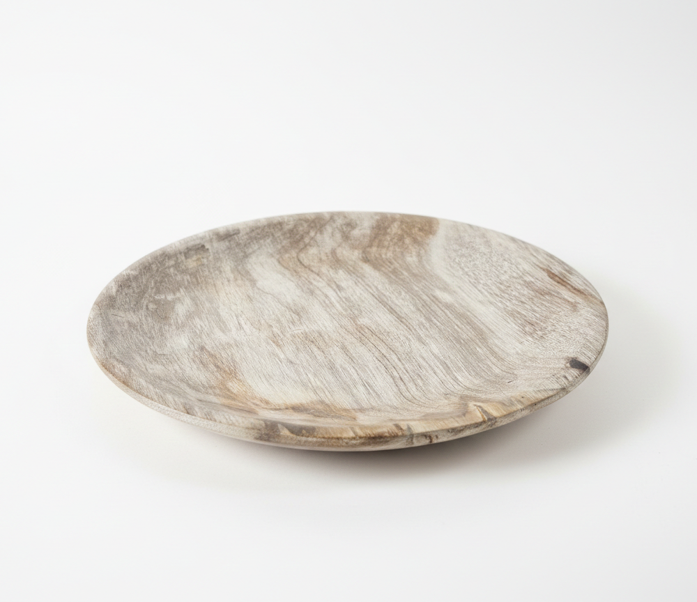 Rounded Petrified Plate – PL081