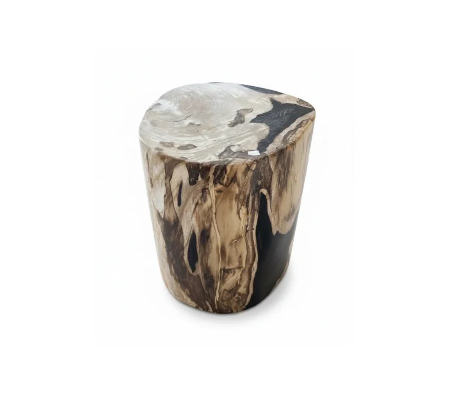 Petrified Wooden Stool -ST058
