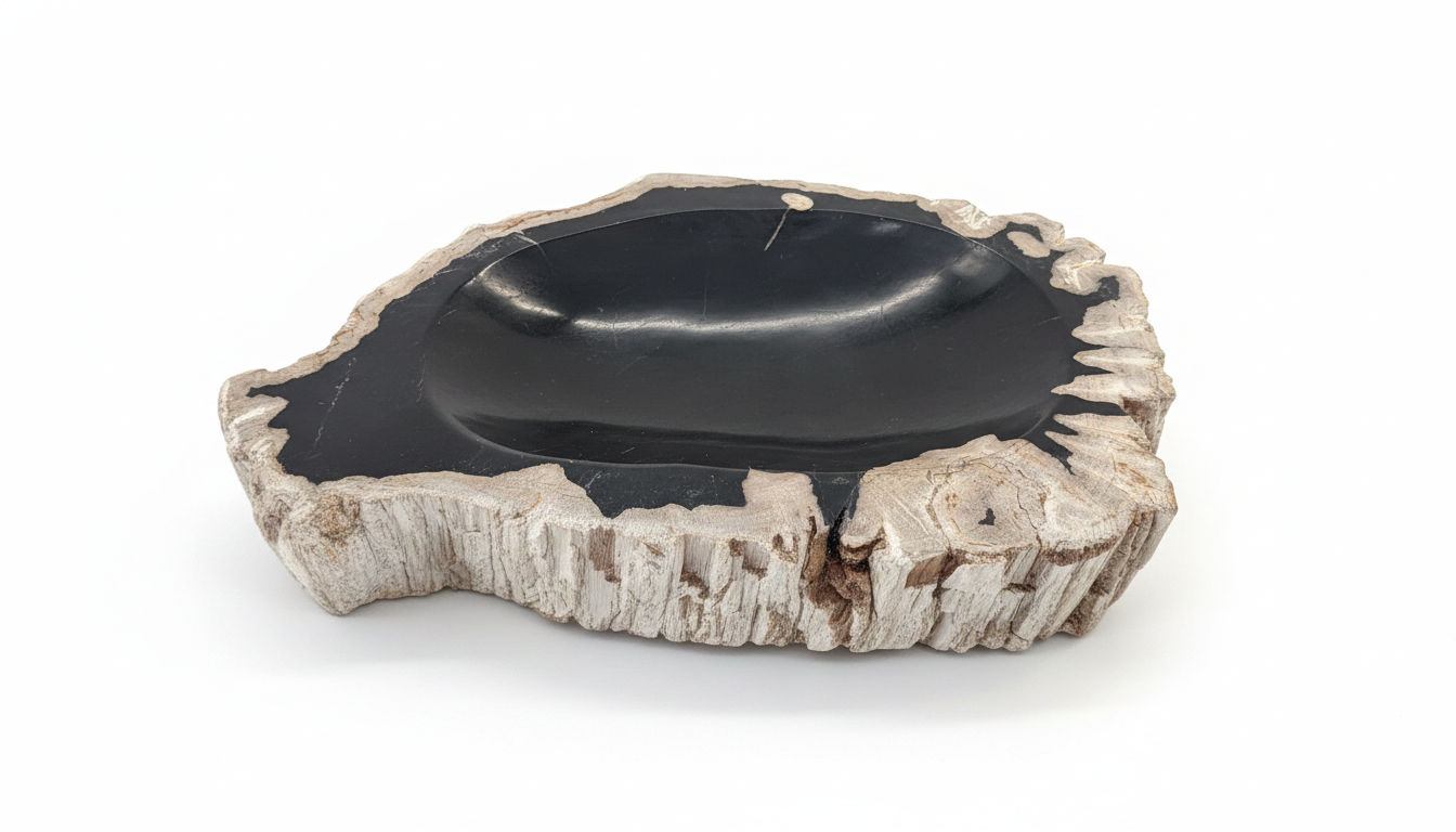 Petrified Wood Ashtray - AS019