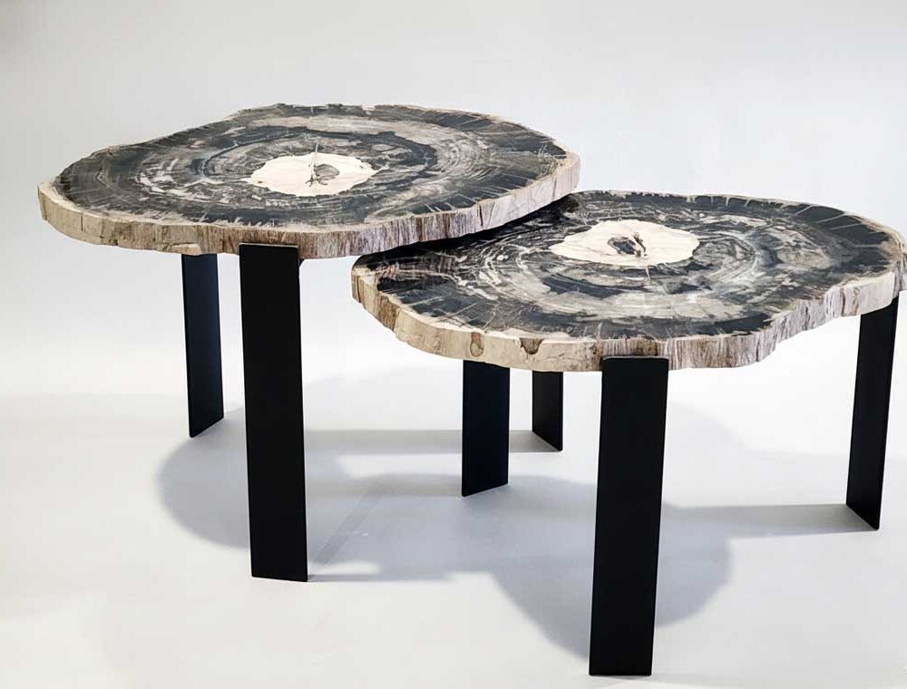 Petrified Wood Coffee Table – TB061 