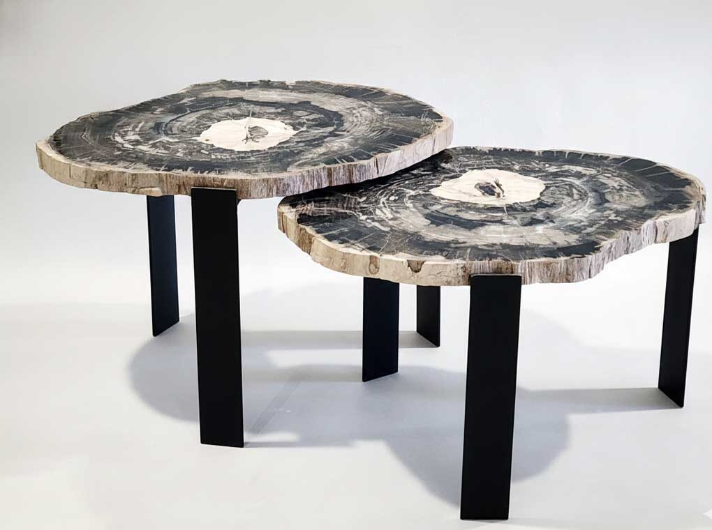 Petrified Wood Coffee Table – TB061 